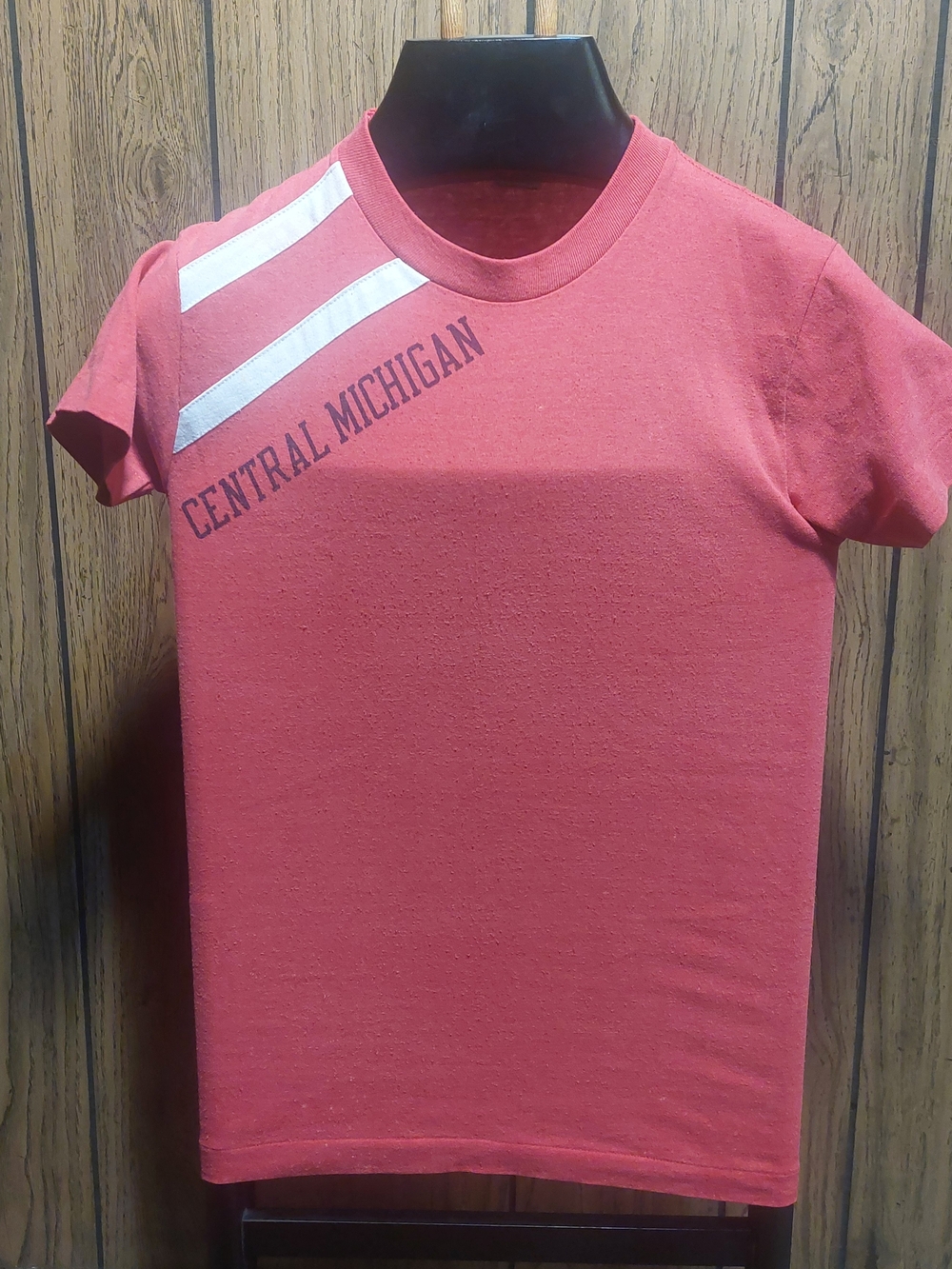 Champion Central Michigan Shirt Vintage 80s Small Made In USA Chippewas